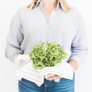 Programa Vitalaging Básico